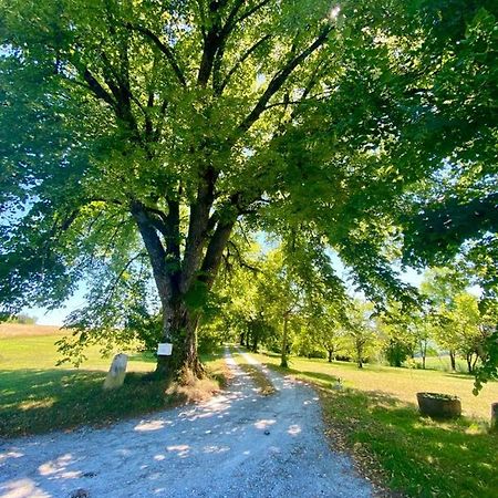 Gite De L'Edelinie Nanteuil-Auriac-de-Bourzac Eksteriør billede
