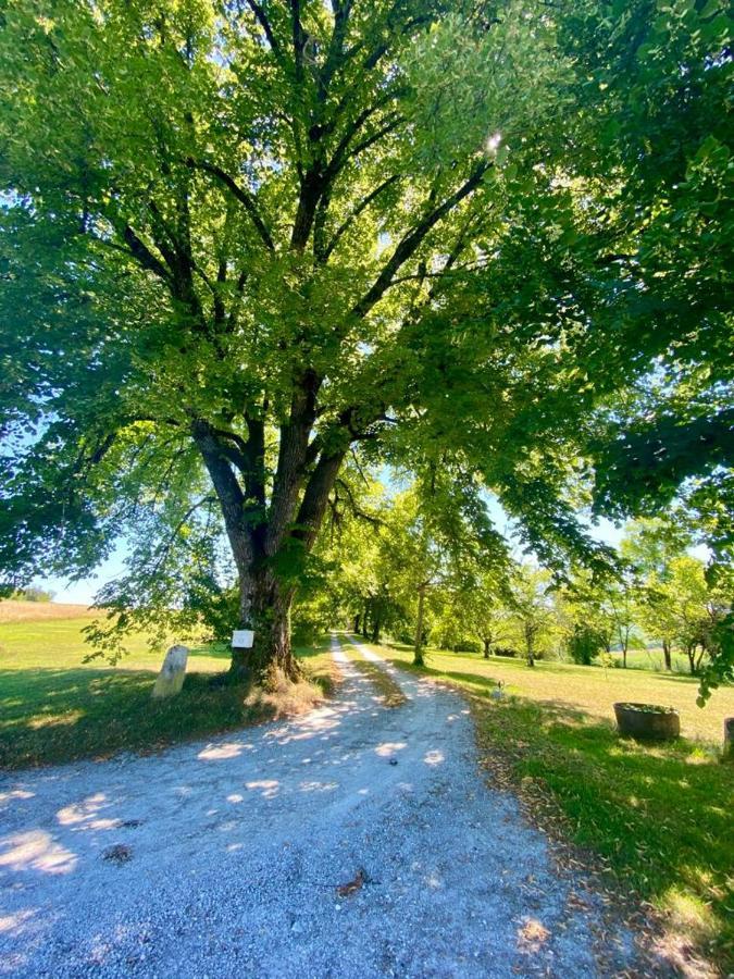 Gite De L'Edelinie Nanteuil-Auriac-de-Bourzac Eksteriør billede